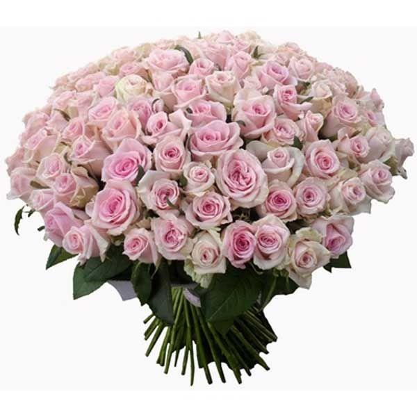Whimsical Wonders Exotic Bloom Collection